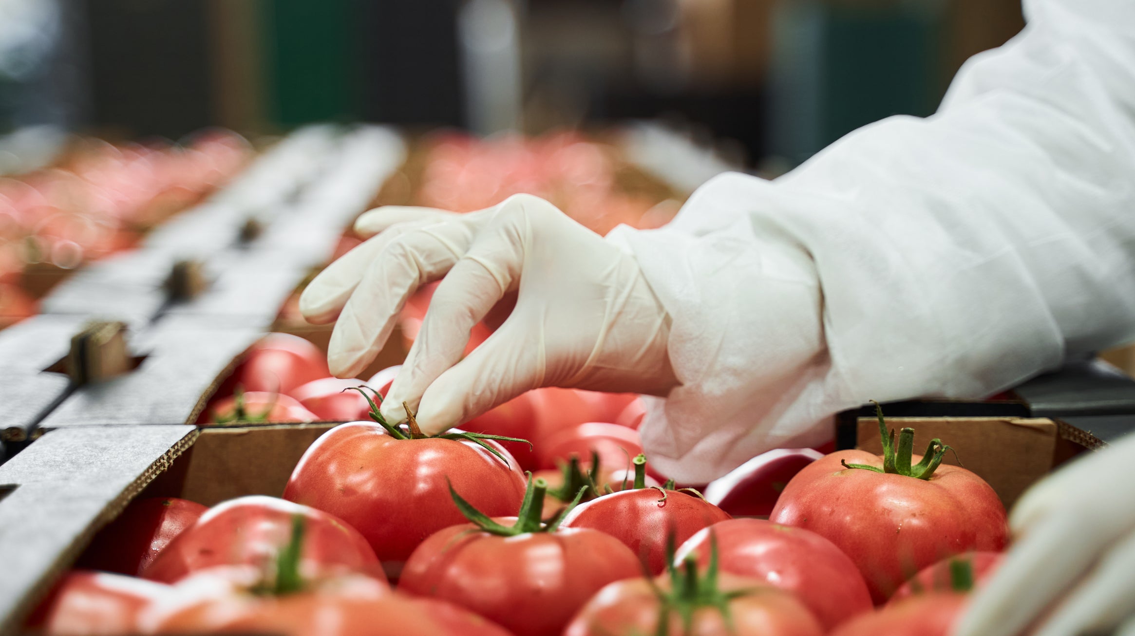 Food Production & Inspection – D50 Lighting